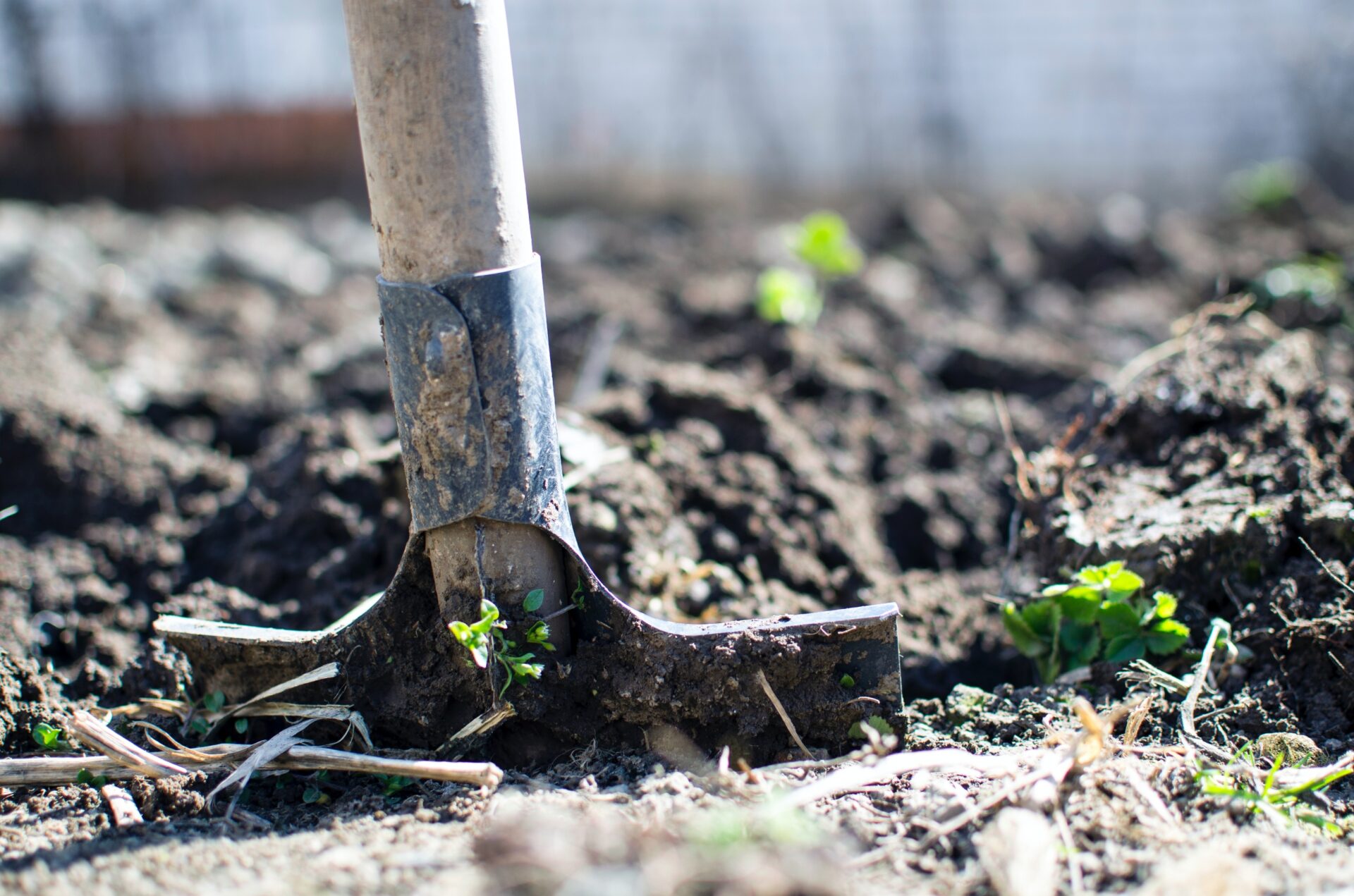 Een hovenier voor tuinonderhoud inhuren: de 4 voordelen