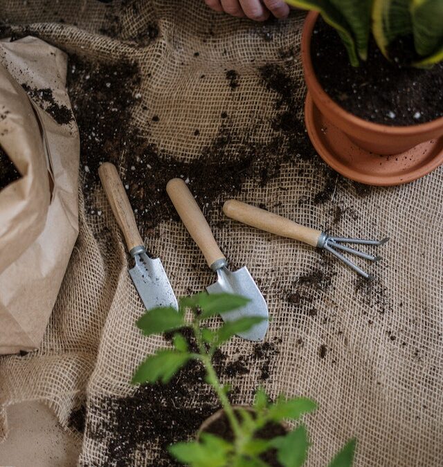 Iedereen groene vingers: tips voor tuinonderhoud